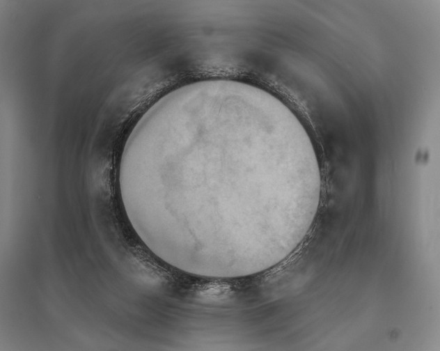 X0000095550162200712141603