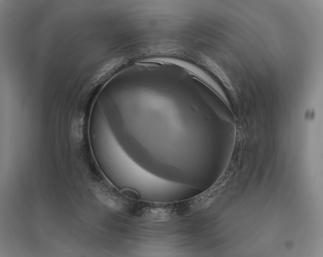 X0000095550163200712141603