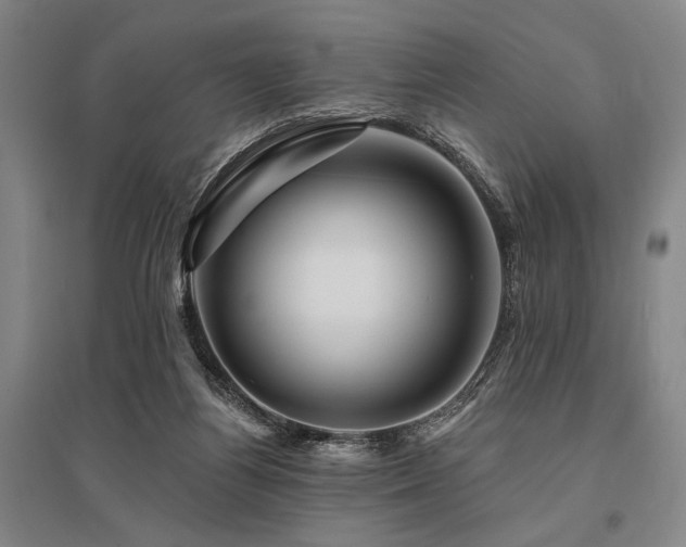 X0000095550164200712141603