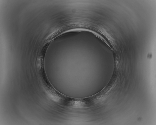 X0000095550165200712141603