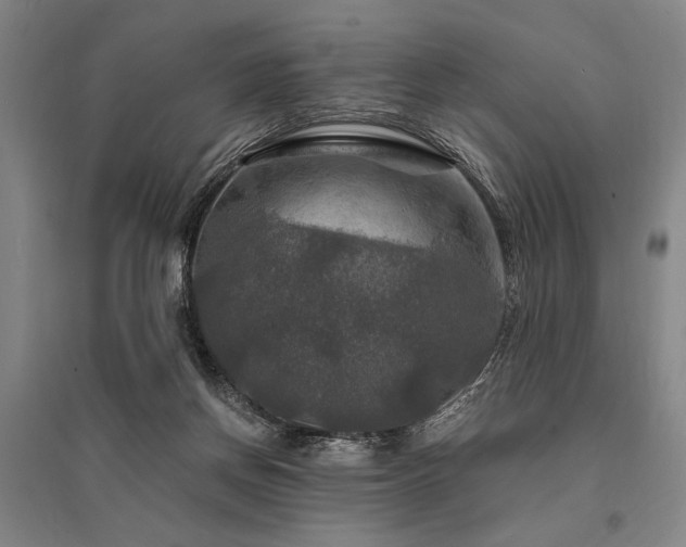 X0000095550166200712141603