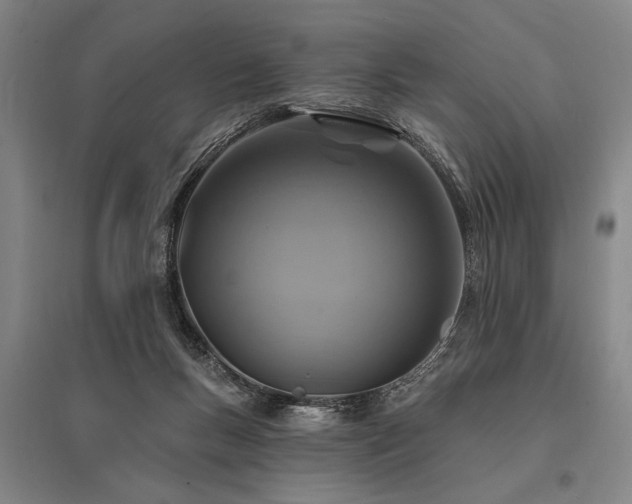 X0000095550167200712141603