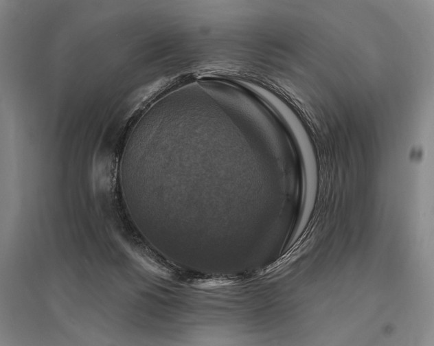 X0000095550168200712141603