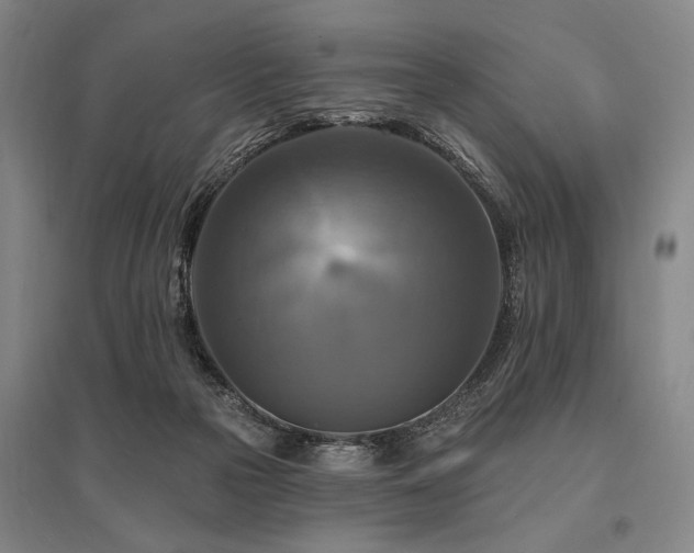 X0000095550169200712141603