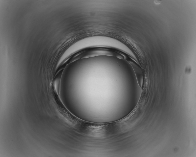 X0000095550170200712141603