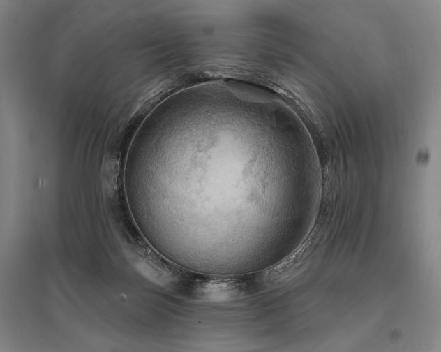 X0000095550171200712141603