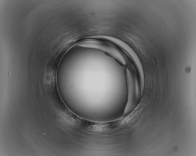 X0000095550172200712141603