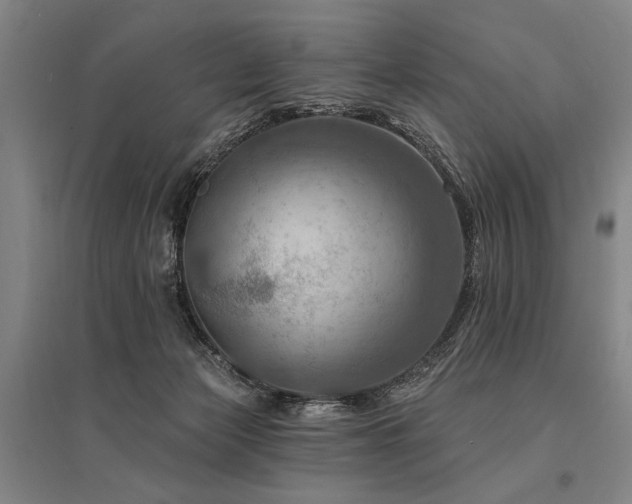 X0000095550173200712141603