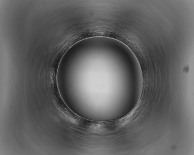 X0000095550174200712141603