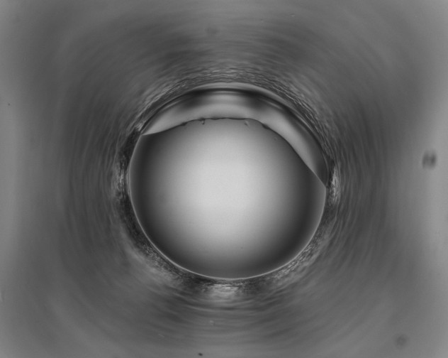 X0000095550176200712141603