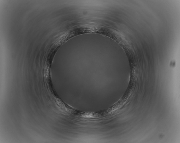 X0000095550177200712141603