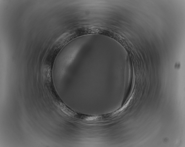 X0000095550178200712141603