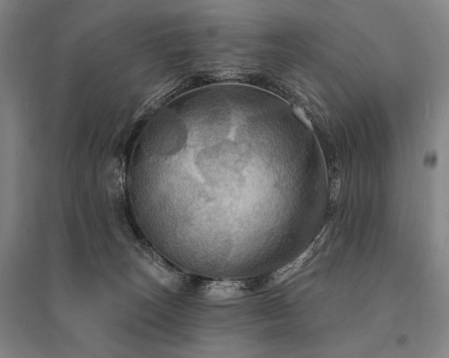 X0000095550179200712141603