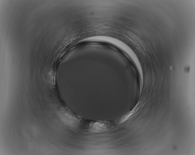 X0000095550180200712141603