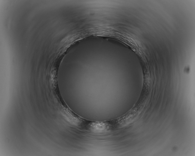 X0000095550181200712141603