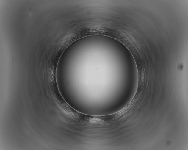 X0000095550183200712141603