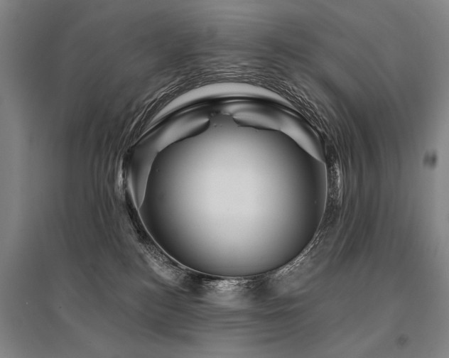 X0000095550184200712141603