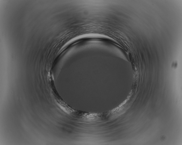 X0000095550186200712141603