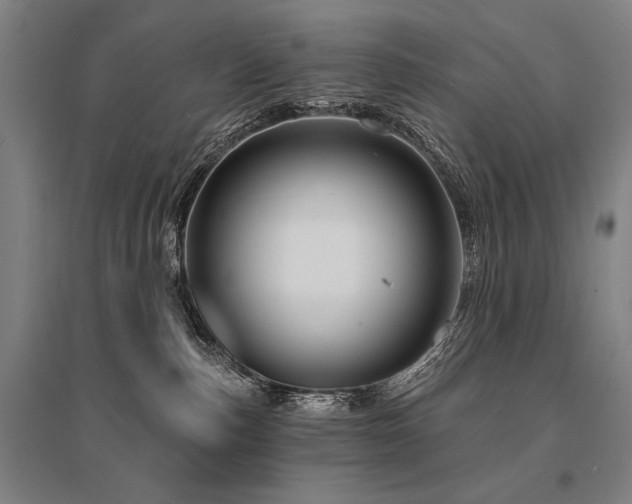 X0000095550187200712141603