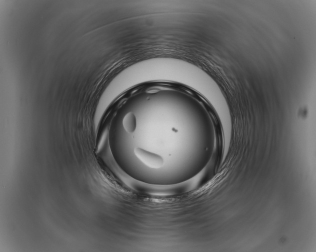 X0000095550188200712141603