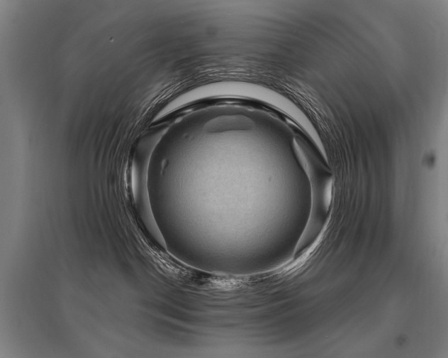 X0000095550190200712141603