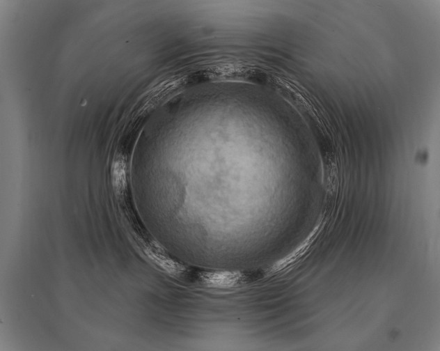 X0000095550191200712141603