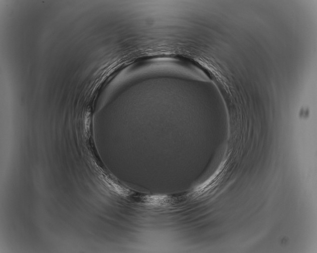 X0000095550192200712141603