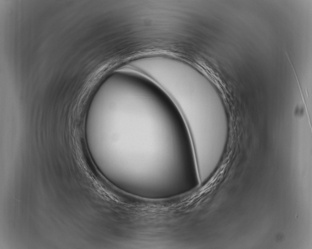 X0000095550193200712141602