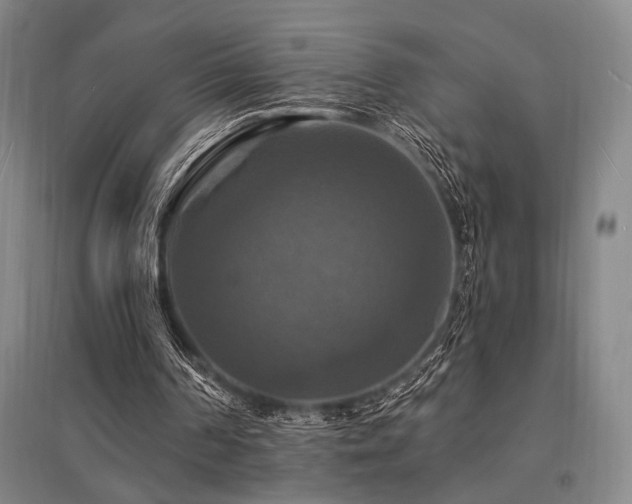 X0000095550194200712141602