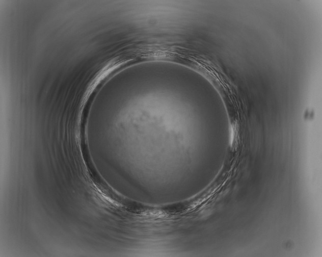 X0000095550195200712141602