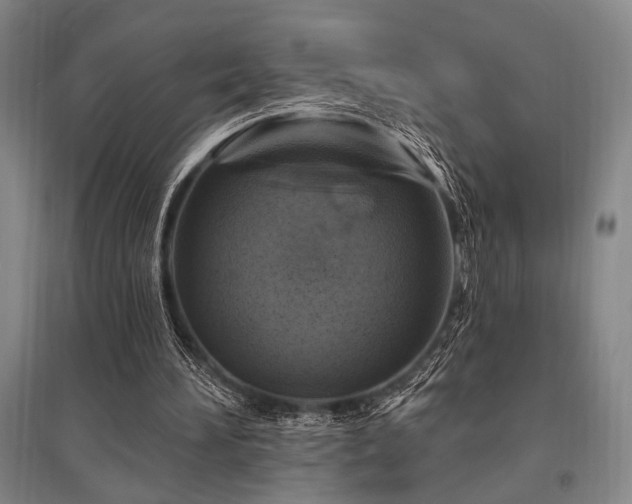 X0000095550196200712141602