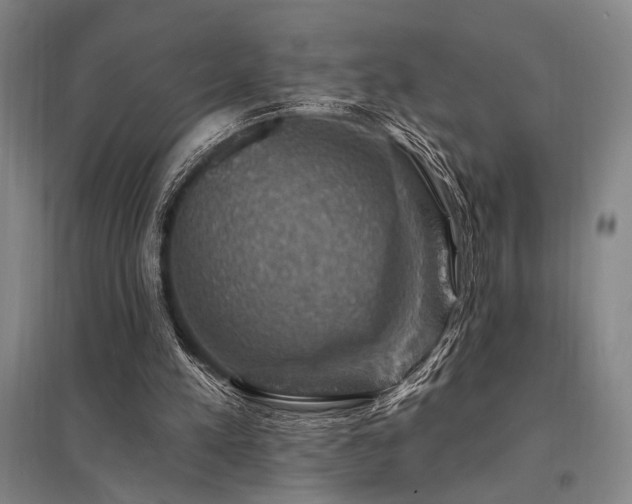 X0000095550197200712141602