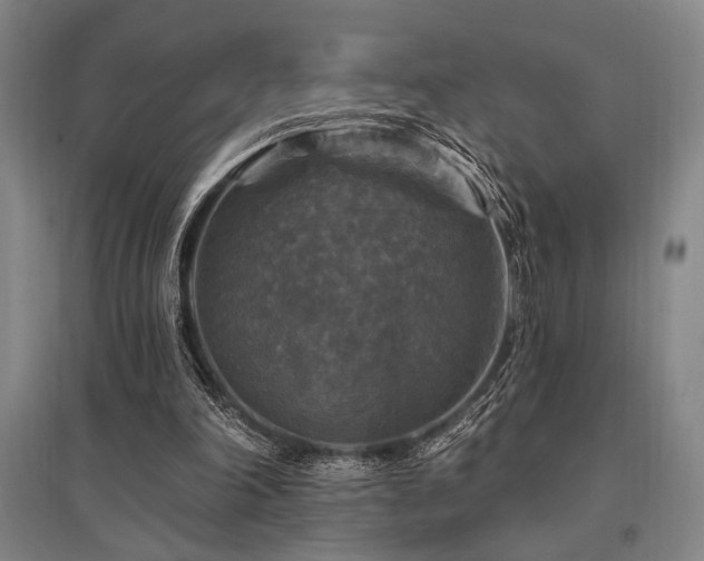 X0000095550198200712141602