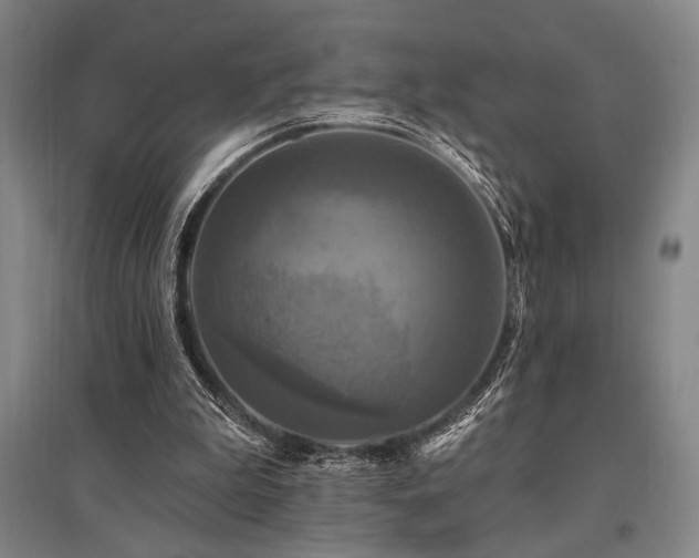 X0000095550199200712141602