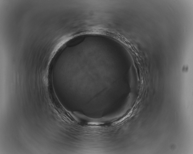 X0000095550200200712141602