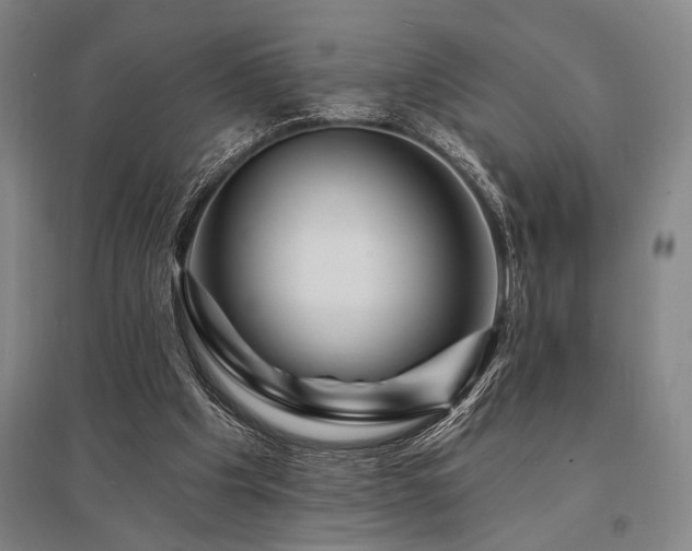 X0000095550201200712141602