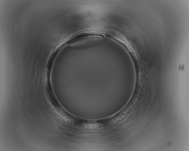 X0000095550202200712141602