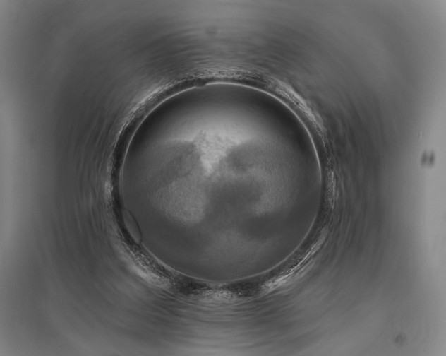 X0000095550203200712141602