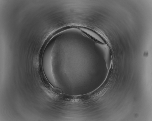 X0000095550204200712141602