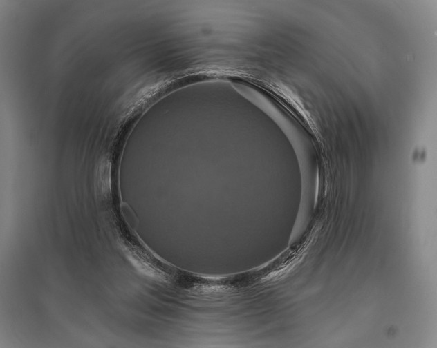 X0000095550205200712141602