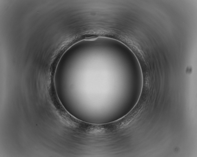 X0000095550206200712141602