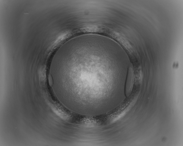 X0000095550207200712141602