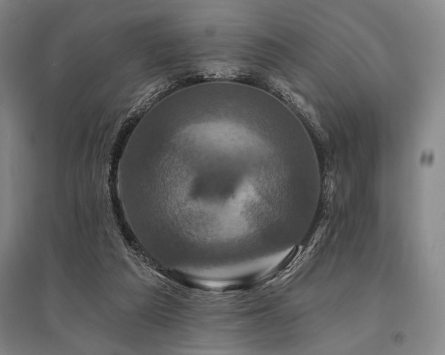 X0000095550209200712141602