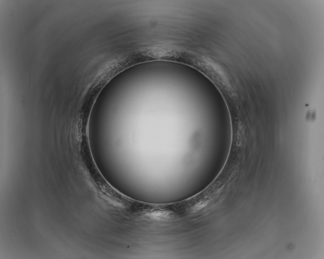 X0000095550210200712141602