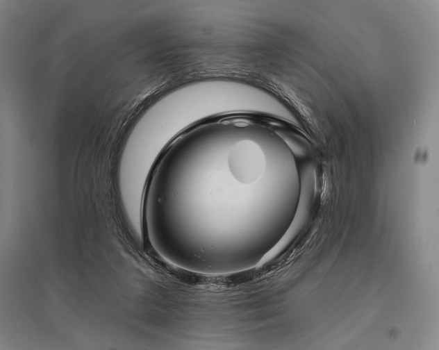 X0000095550211200712141602