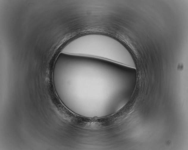 X0000095550212200712141602