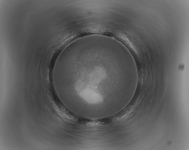 X0000095550213200712141602