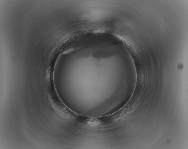 X0000095550214200712141602