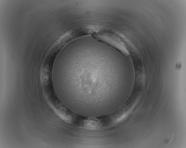 X0000095550215200712141602