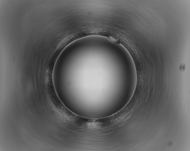 X0000095550216200712141602